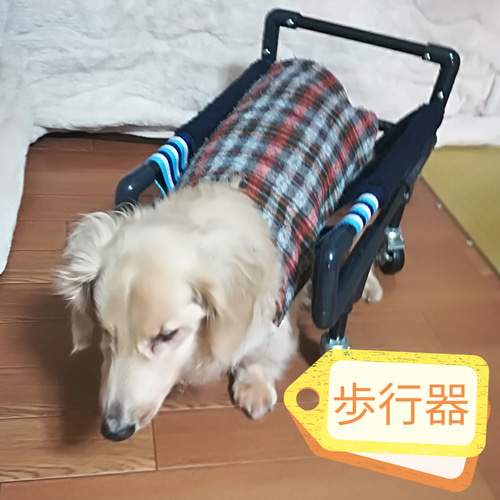 ワンちゃん4輪 リハビリ 食事補助 犬用車椅子 歩行補助 犬の歩行器