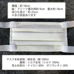 【在庫のみ終了】布マスク　ラージサイズ　綿×シルク　プリーツ型 2枚目の画像