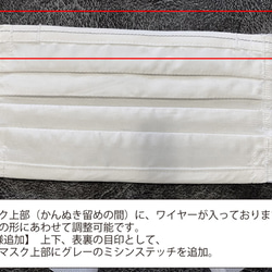【在庫のみ終了】布マスク　ラージサイズ　綿×シルク　プリーツ型 3枚目の画像