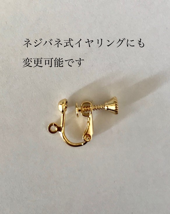 Kasumigusa * 圓形穿孔/耳環 16KGP 第5張的照片