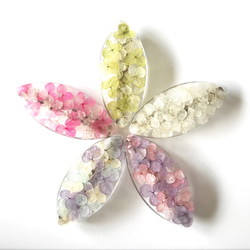 繡球花葉髮夾果子露顏色 第3張的照片