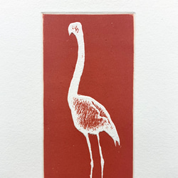 Flamingo 2枚目の画像