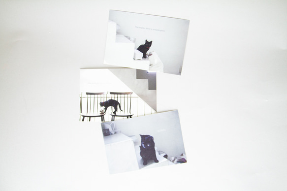 【018 黒猫ポストカード3枚セット】 1枚目の画像