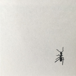 アリ 蟻 C スタンプ ハンコ 判子 ゴム印 4枚目の画像