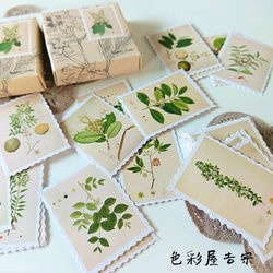 再販１１✩約４０枚入　植物切手/海外 mixシール　色彩屋吉宗 1枚目の画像