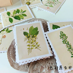 再販１１✩約４０枚入　植物切手/海外 mixシール　色彩屋吉宗 2枚目の画像