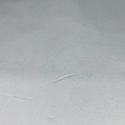 鹿革　ポルティラ　白鞣し　白色　ソフト　首 3枚目の画像