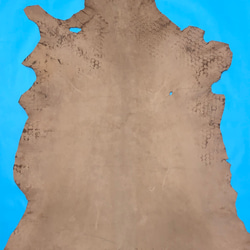 鹿革　ポルティラ　(白鞣し)　茶染め 4枚目の画像