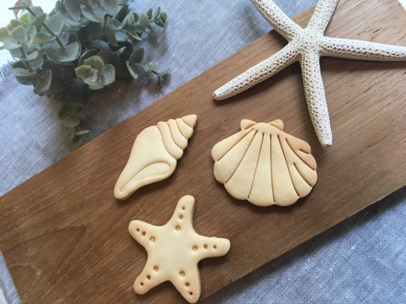 海☆貝殻　クッキーカッター/クッキー型 2枚目の画像