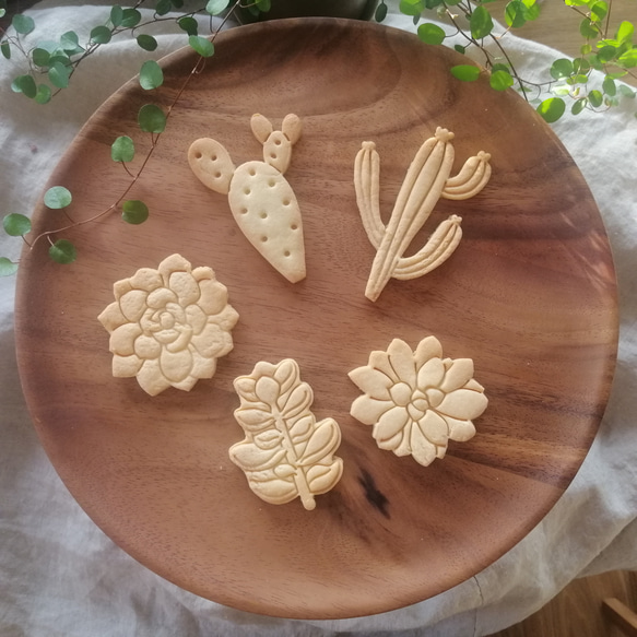 多肉植物☆オーストラーレ　クッキー型/クッキーカッター 4枚目の画像