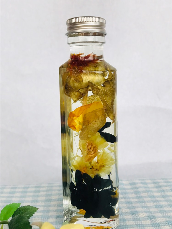 ドライ紅花のハーバリウム ハーバリウム・植物標本 Butterfly Kiss  