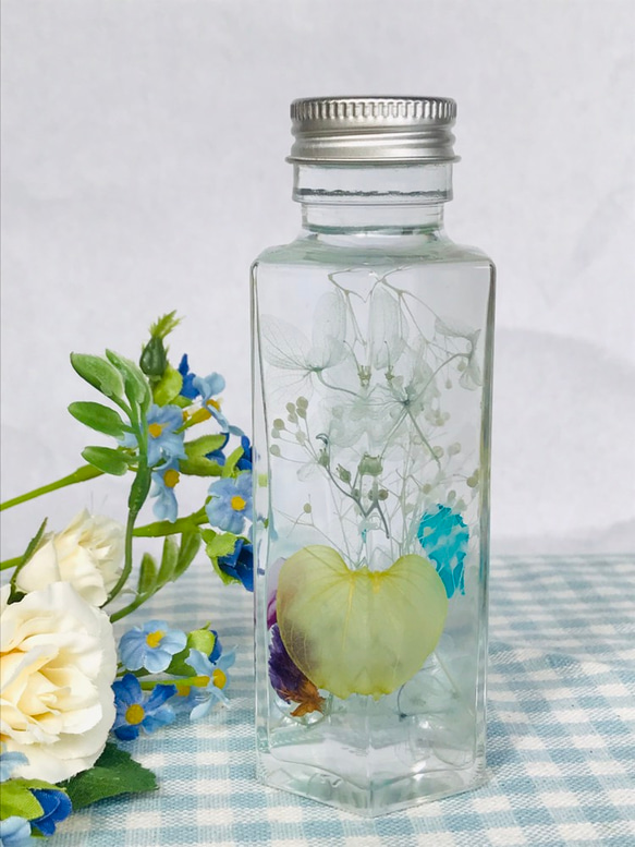 ハートリーフのハーバリウム ハーバリウム・植物標本 Butterfly Kiss  