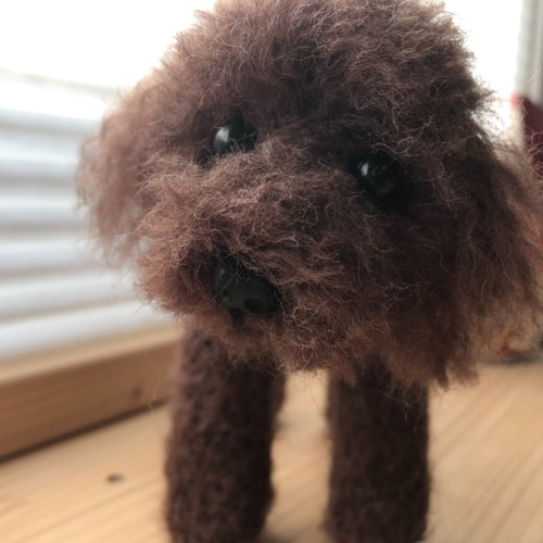 おとママ羊毛フェルト 茶トイプードル お留守番よろしくね 羊毛