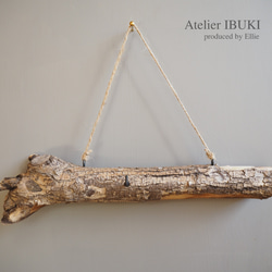 IBUKI × Driftwood 1枚目の画像