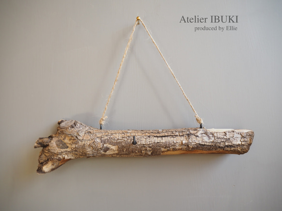 IBUKI × Driftwood 1枚目の画像