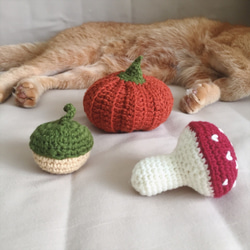 橡實-秋日果實貓草包/毛線編織寵物玩具 第6張的照片