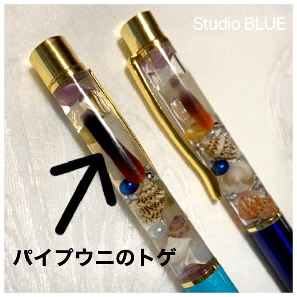 ◾️うみいろハーバリウム　貝がらボールペン◾️ブルーのみ　 3枚目の画像