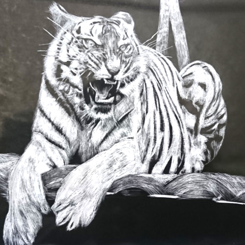 黄昏ホワイトタイガー 版画 ガミジオ 通販 6369472｜Creema(クリーマ)