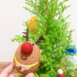 吊るして小さなクリスマス 3枚目の画像