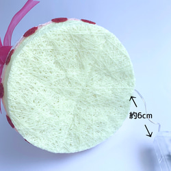 いちごのケーキでお祝いライト 8枚目の画像
