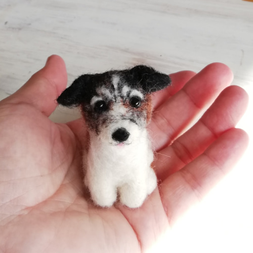 ◾羊毛フェルト「小さなわんこ」うちの子オーダー制作いたします!お手軽オーダー ペットロスにも 受注制作 羊毛フェルト rika-smallworld 通販|Creema(クリーマ) 10395360 ◾羊毛フェルト「小さなわんこ」うちの子オーダー制作いたします!お手軽オーダー ペットロスにも 受注制作 羊毛フェルト rika-smallworld 通販|Creema(クリーマ) 10395360