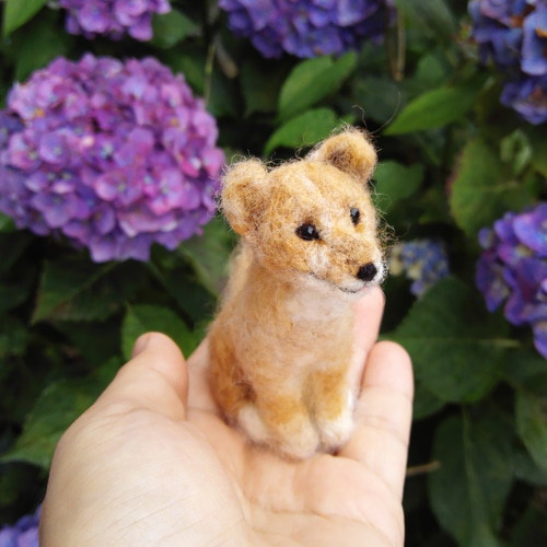 ◾受注制作・羊毛フェルトわんこ・犬・うちの子オーダー・お座り