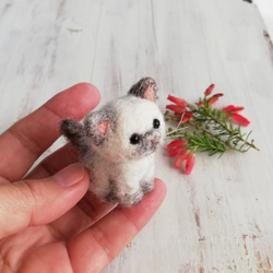■受注制作　羊毛フェルトの小さな子猫(ポイント猫)　猫グッズ　猫雑貨　 3枚目の画像