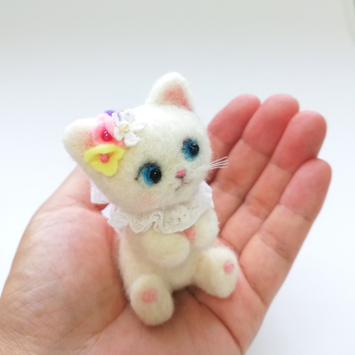 エンジェルシープキャット ホワイトウィングキャット 白猫 首輪
