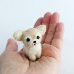 ◾受注制作・羊毛フェルトの小さなわんこ(チワワ) マスコット 犬
