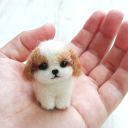 Amazon.co.jp: 羊毛フェルト ハンドメイド シーズー 桜リースA1
