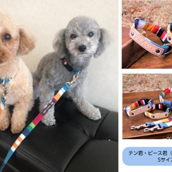 オーダーメイド小型犬用リード（ノーマル）☆栃木レザーに名入れ無料（カラフルストライプ）　巾１．５㎝　　長さ120㎝ 2枚目の画像