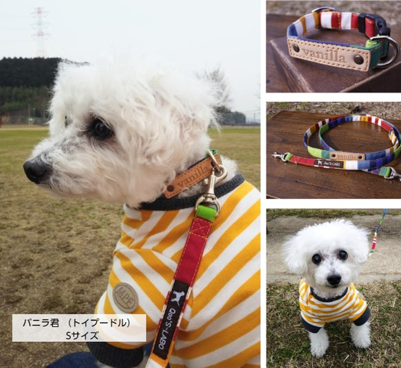 オーダーメイド小型犬用リード（ノーマル）☆栃木レザーに名入れ無料（カラフルストライプ）　巾１．５㎝　　長さ120㎝ 3枚目の画像