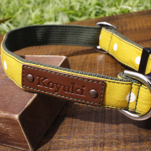 オーダーメイド大型犬用首輪☆栃木レザーに名入れ無料（ドット）2.5cm