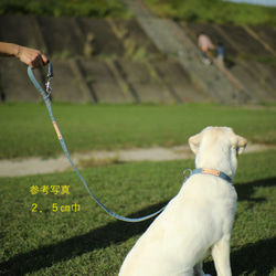 オーダーメイド犬用リード（両側ナスカン）☆栃木レザーに名入れ無料（デニム）　（デニム）　巾１．５㎝　　長さ120／95㎝ 4枚目の画像