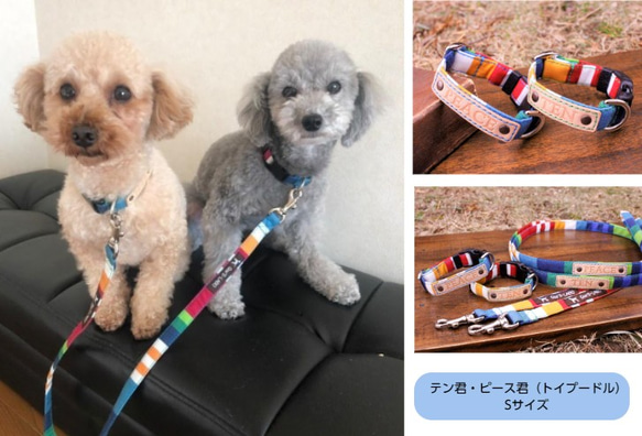 ★オーダーメイド小型犬用首輪☆栃木レザーに名入れ無料（カラフルストライプ）　1.5cm巾　(S・M・Lサイズ)★ 3枚目の画像