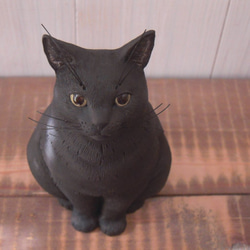 星月明かり黒猫～短尾 2枚目の画像