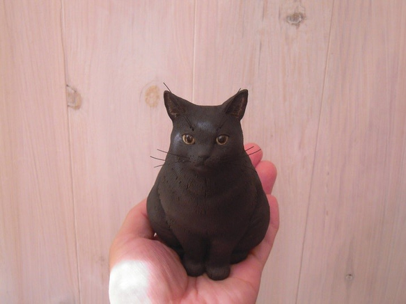 星月明かり黒猫～短尾 8枚目の画像