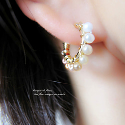 14KGF 珍珠de漸層圈圈耳環 第4張的照片