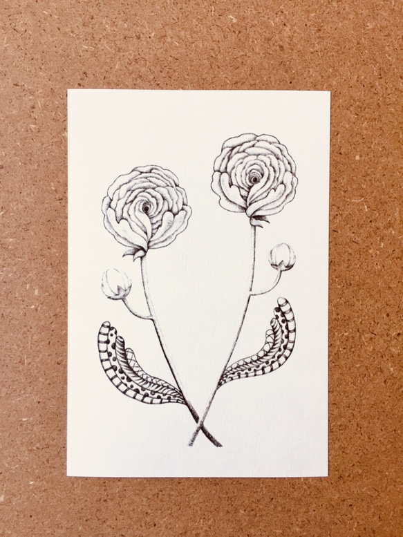 ポストカード 「花と少女と」 ５枚セット 2枚目の画像