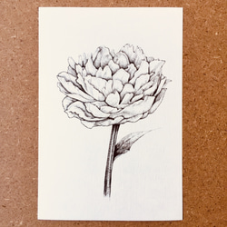 ポストカード 「花と少女と」 ５枚セット 3枚目の画像