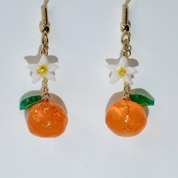 █29☆❁¨̮★レジン無しイヤリング ドーナツ レジン ドライフラワーピアス/イヤリングの通販 by