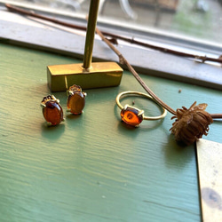 バルト海沿岸ポーランド産天然琥珀・バルティックアンバー