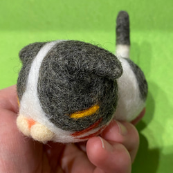 羊毛フェルの猫磁石 (スコティッシュフォールド黒ハチワレ②) 1枚目の画像