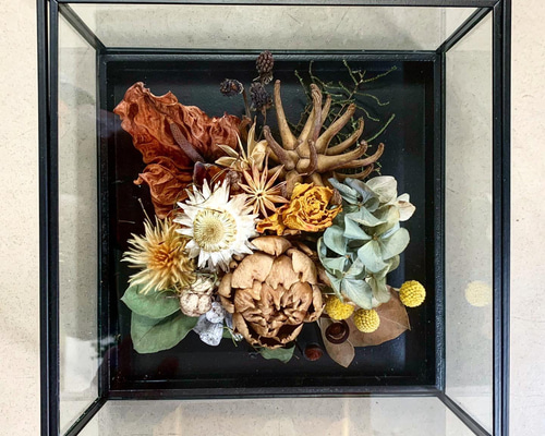 0_1eb4c987c36d06526b905680b668