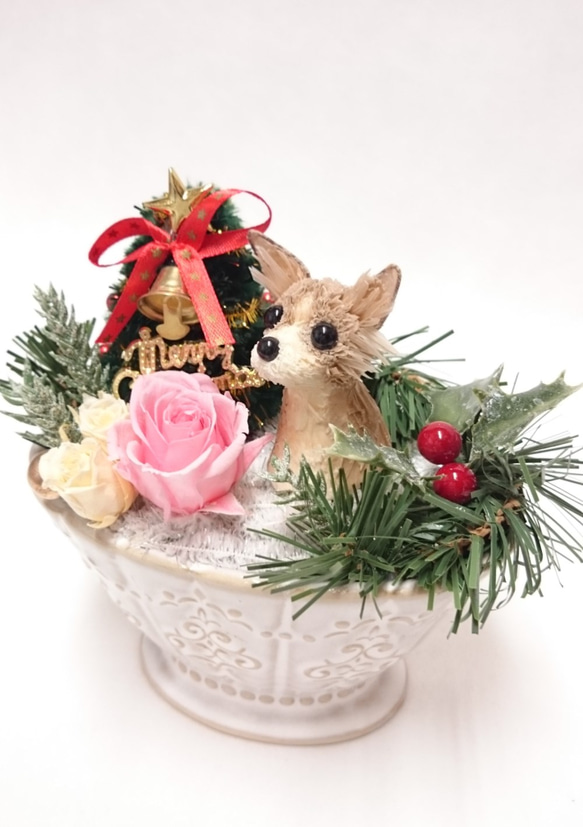 かわいい チワワのクリスマス陶器アレンジ 2枚目の画像