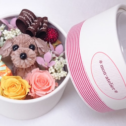 ダックスフンドから愛をこめて・・] バレンタインデー＆ホワイトデー