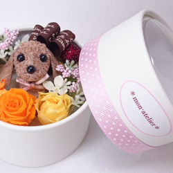 ダックスフンドから愛をこめて・・] バレンタインデー＆ホワイトデー