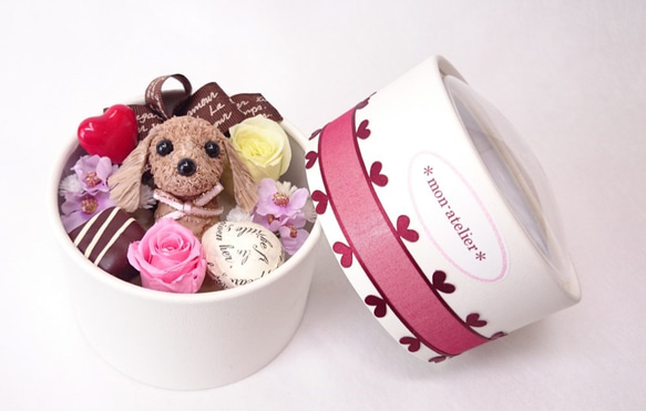 ダックスフンドから愛をこめて・・] バレンタインデー＆ホワイトデー