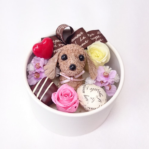 ダックスフンドから愛をこめて・・] バレンタインデー＆ホワイトデー