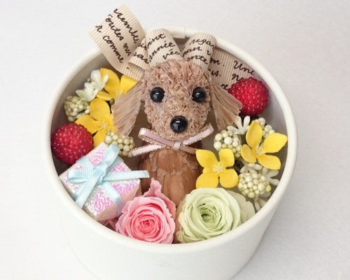 【Xmas】プレゼントBOX☘ダックスちゃんふんわりチャーム お花で作ったワンちゃん[ちいさな友達：ミニチュアダックス